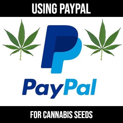 paypal and cannabis seeds
