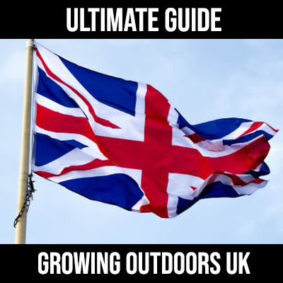 growing outdoors in the uk