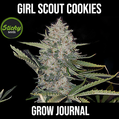 Girl Scout Cookies grow journal